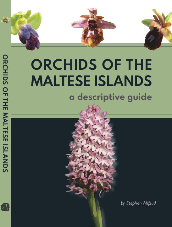 Orchidées de Malte Front