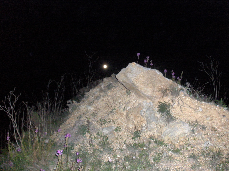 A cute photo i took very near to the area we observed for a  whole chilling night: