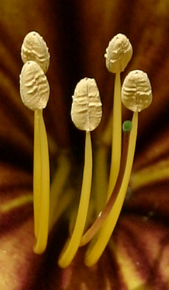 22222a.jpg