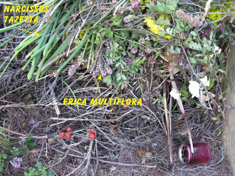 NoComments01-08.JPG
