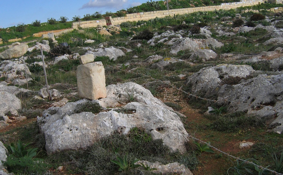 Barbed wire over garigue just over Dingli Cliffs, that as far as I know is not private but public.