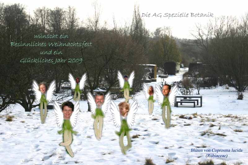 Christmas 2008.jpg