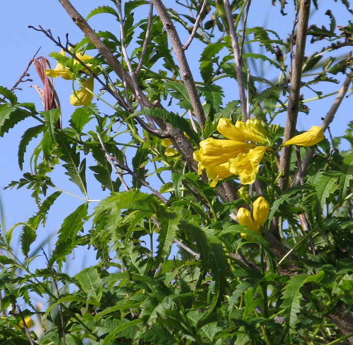 IMG_1776.JPG