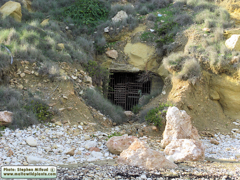 The Hideout of the treasure