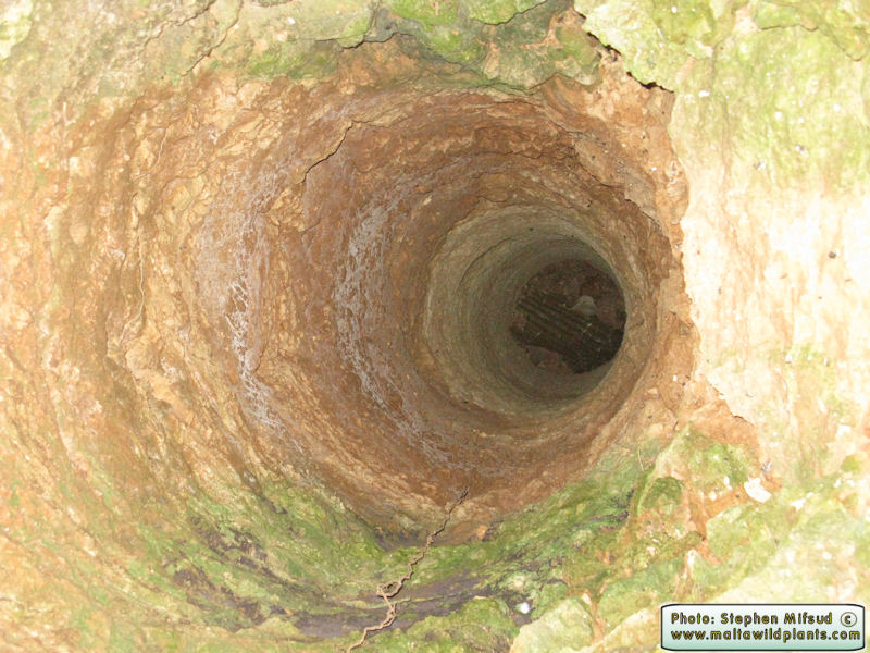 Don't know what this shaft was doing below scree and rock. Estimated to be 15m deep, and it was not lighted with the flash - instead it looked like the black hole. Scary