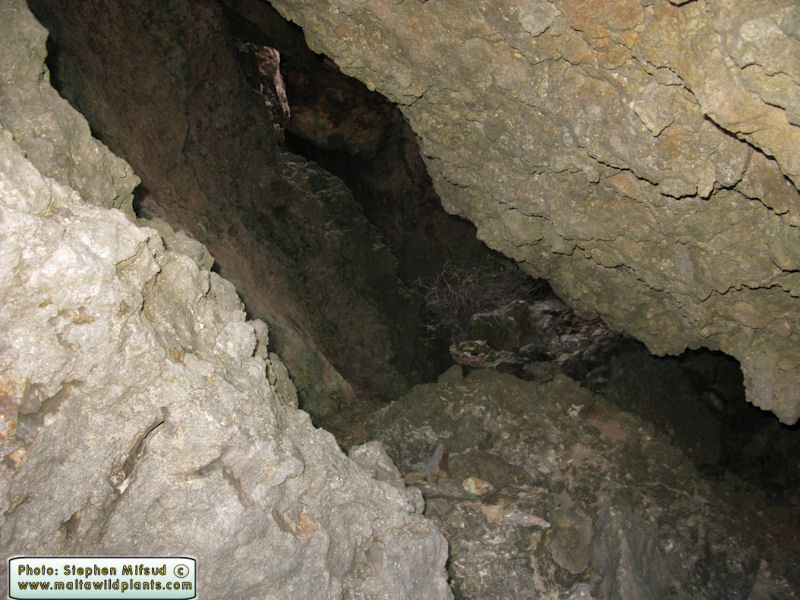 Deep down through a shaft