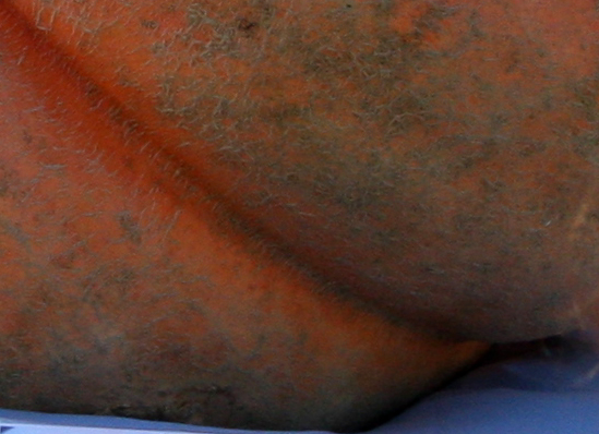 2009.jpg