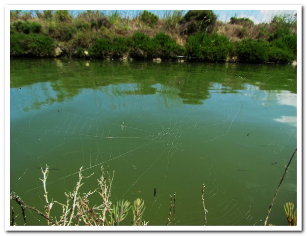 2011-06-14 SalinaFrans_026.jpg