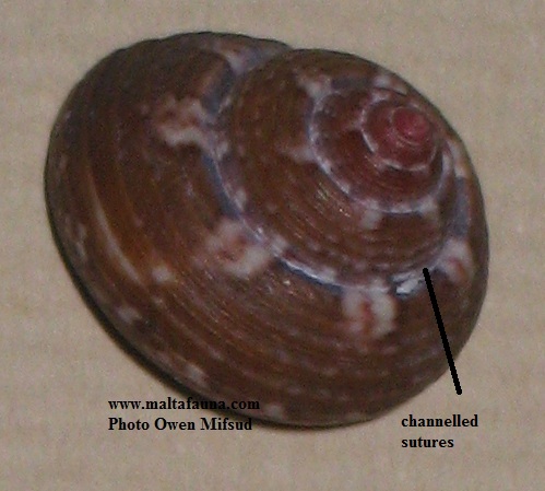 042d.jpg