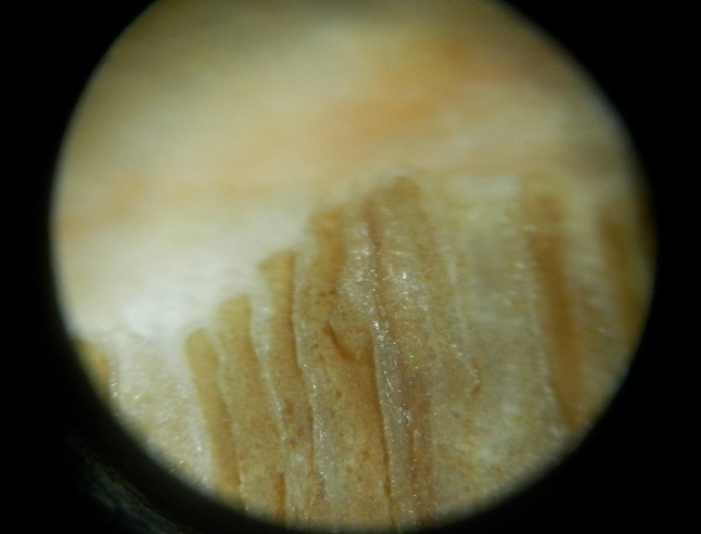 PC154445.JPG