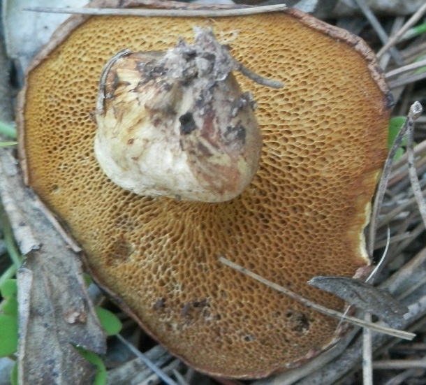 PC144440.JPG