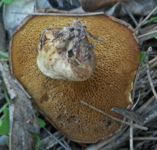 PC144438.JPG