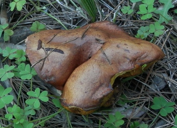 PC144435.JPG