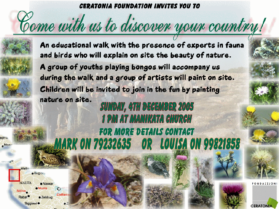 Cretonia Flyer