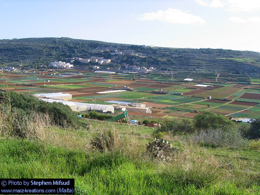 Acres of arable land planned to be converted to a golf course for the rich tourists.