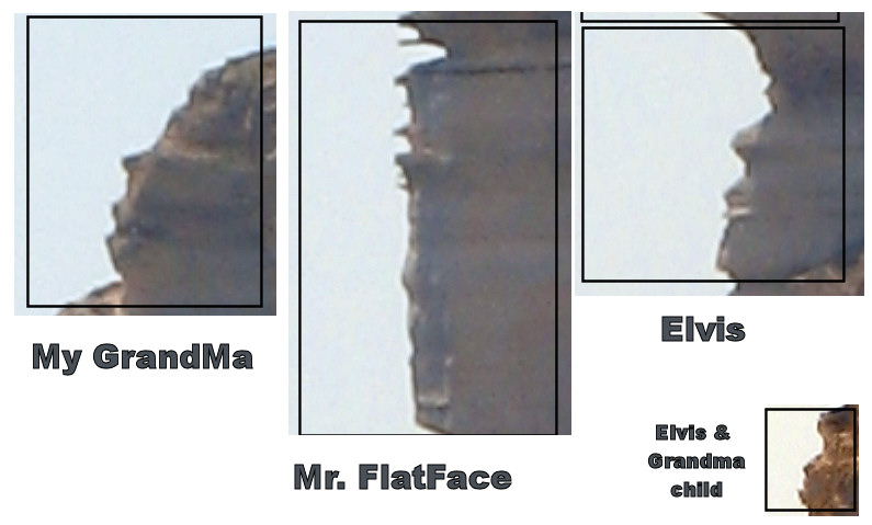 HowManyfaces_2.jpg