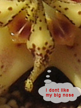 LongNoseJohn.JPG
