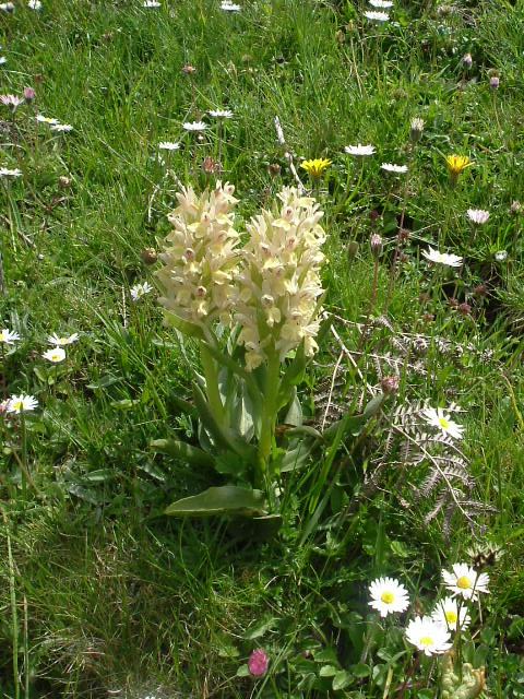 DSCF0512.JPG