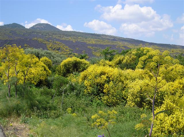 Etna slopes, low levels
