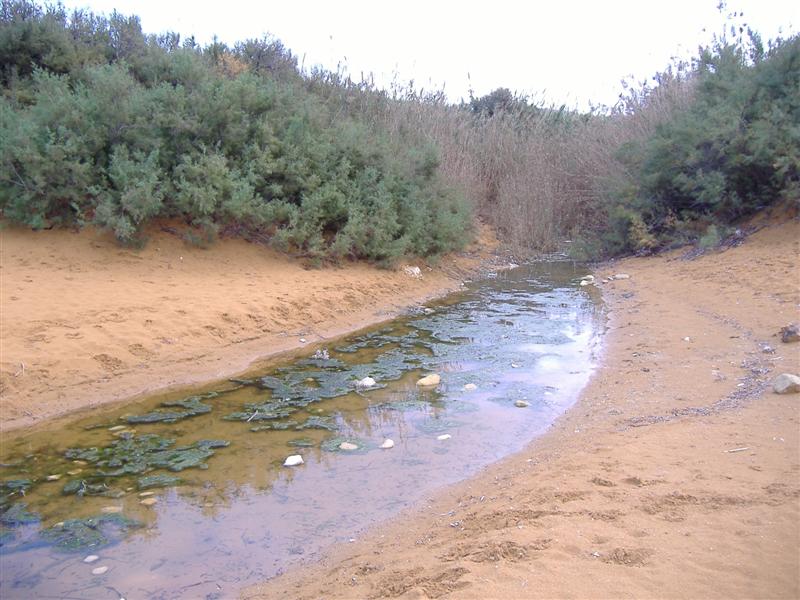watercourse